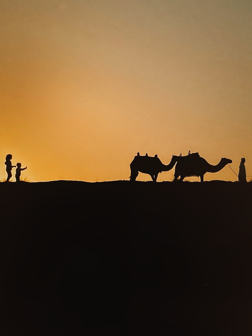 Camels led along a dune ridge in the Dubai desert at sunrise, the sky amber above them